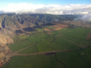 Projects_Maui Bioenergy_landscape