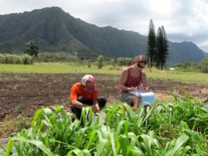 Projects_Oahu Bioenergy