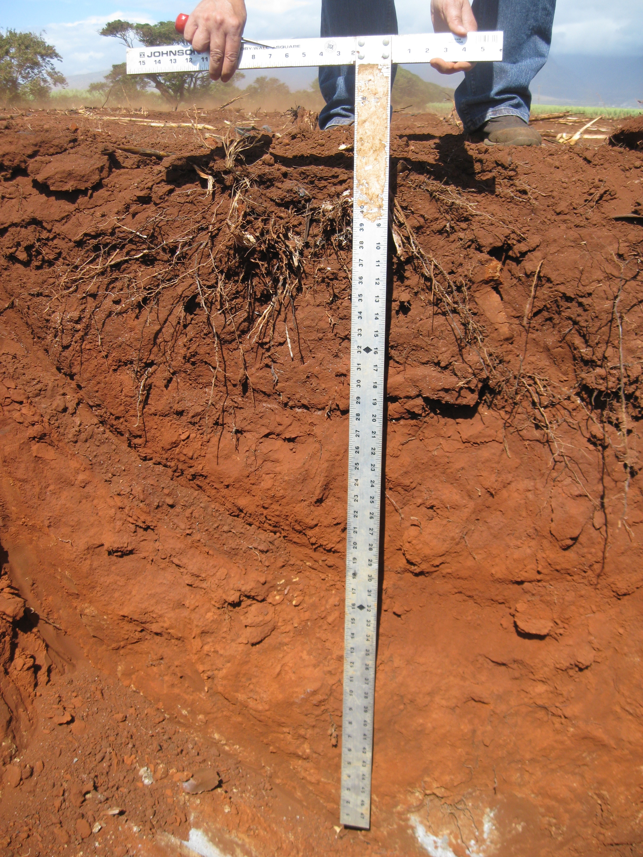 photo_soil pit with scale